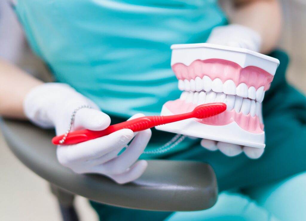 Woman dentist with gloves showing on a jaw model how to clean the teeth with tooth brush properly and right